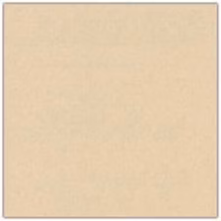 Cardstock - 12x12 - blekgulbeige 968