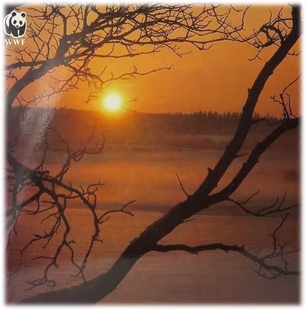 **Dubbel kort** WWF Världsnaturfonden