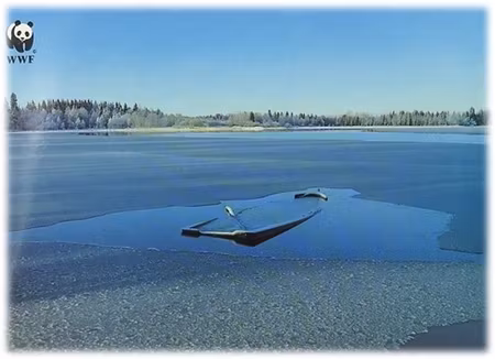 **Dubbel kort** WWF Världsnaturfonden