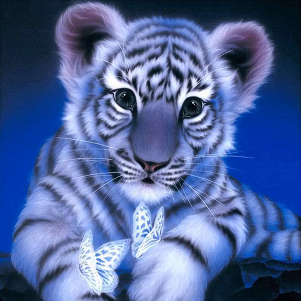 Tiger - Diamond Painting  5D - 30x30