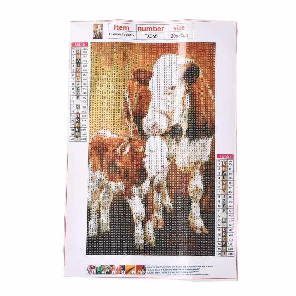 Kossor - Diamond Painting  5D - 30x20