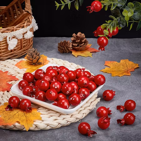 **Miniatyr** granat äpple - 1st