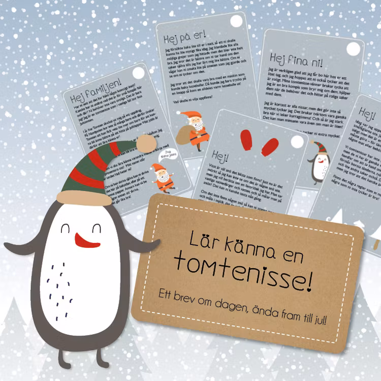 Andrahandssortering! Lär känna en tomtenisse - År 1, 3-8 år (Tryckta nissebrev)