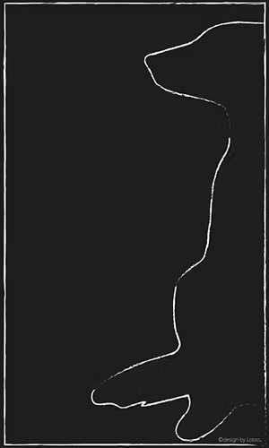 KÖKSHUND – kökshandduk
