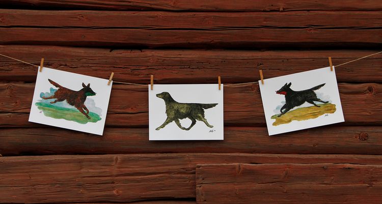 APPORT, LEVERFÄRGAD FLATCOATED RETRIEVER – print 40x30
