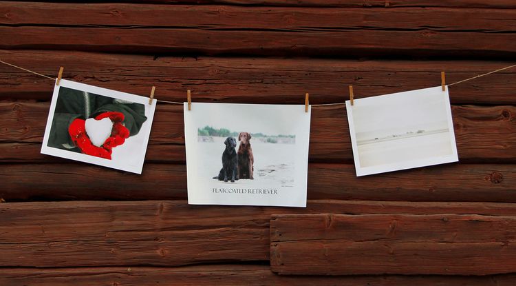 ISSTENAR – fotokonst 40x30