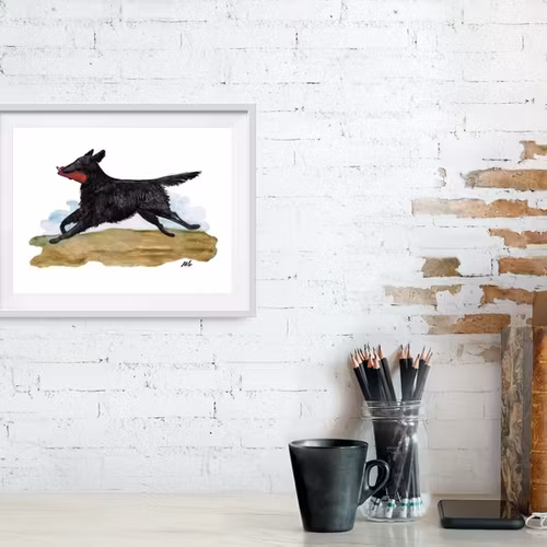APPORT, SVART FLATCOATED RETRIEVER – print 40x30