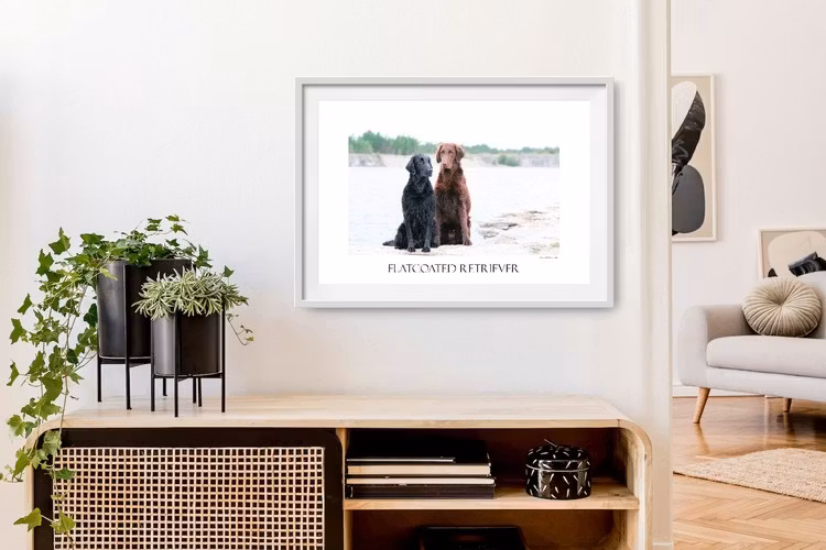 GOTLAND – fotokonst 50x40