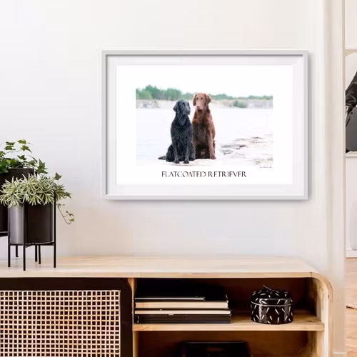 GOTLAND – fotokonst 50x40