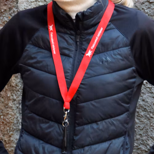 VISSELPIPSBAND – Flatcoated retriever