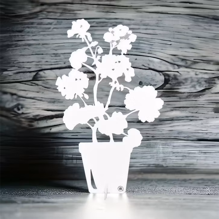 PELARGON – blomma i vit plåt