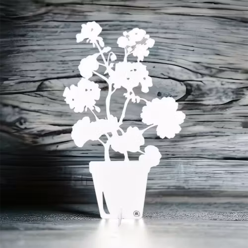 PELARGON – blomma i vit plåt