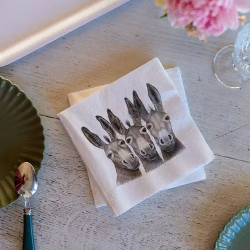 AMIGOS ÅSNOR – servetter