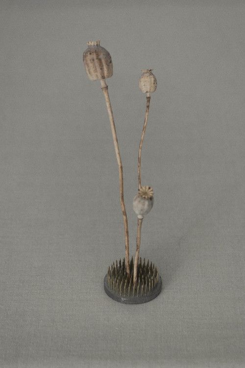 Blomsterfakir stor