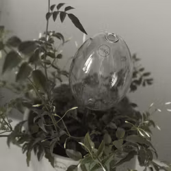 Waterbubble, "semestervattnare" från DBKD