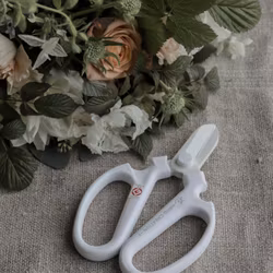 Japansk Floristsax - Sakagen