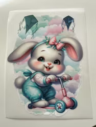 KICKBIKE BUNNY DTF