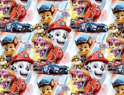 PAW PATROL RANDIG  FT 1METER
