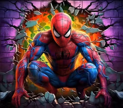 SPIDERMAN COLOR  PANEL FT