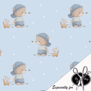 BOY TEDDY