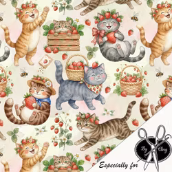 STRAWBERRY CATS