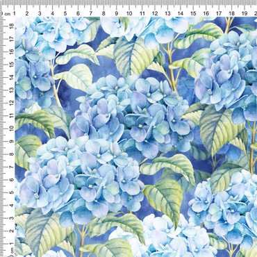 HORTENSIA