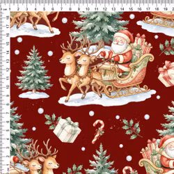 SANTAS SLEIGH