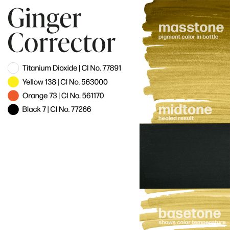 Ginger Corrector