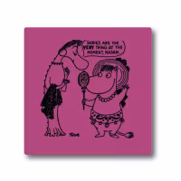 Moomin Coaster - Sashes