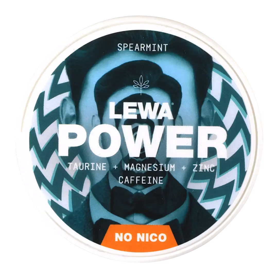 Lewa Of Sweden Power Functional Spearmint, No Nico - 20 porzioni