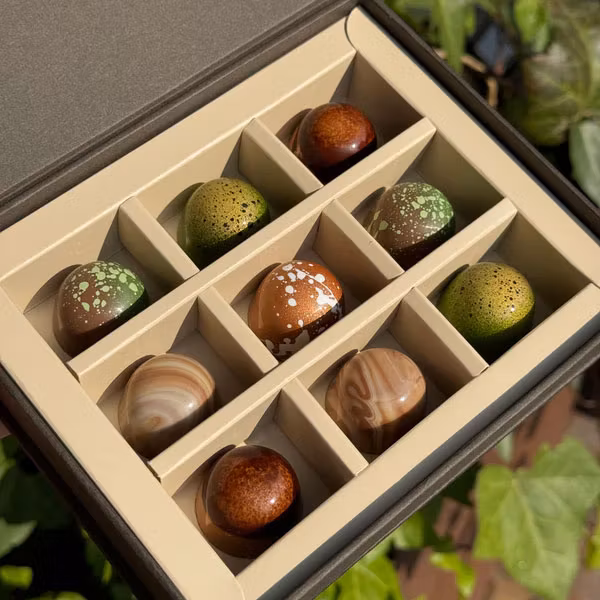 Selección de praliné de temporada Chocolatte - 9 piezas