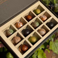 Chocolatte Seasonal Praline Selection - 12 pcs
