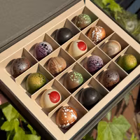 Chocolatte Seasonal Praline Selection - 16 pcs