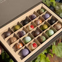 Chocolatte Seasonal Praline Selection - 20 pcs