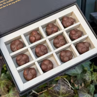 Chocolatte Triple Nut Pralines - 12 pcs