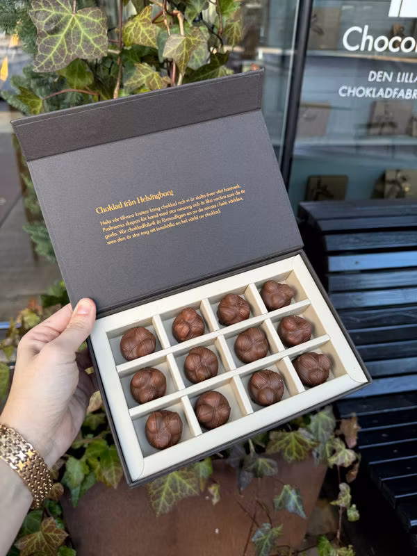 Chocolatte Triple Nut Pralines - 12 pcs