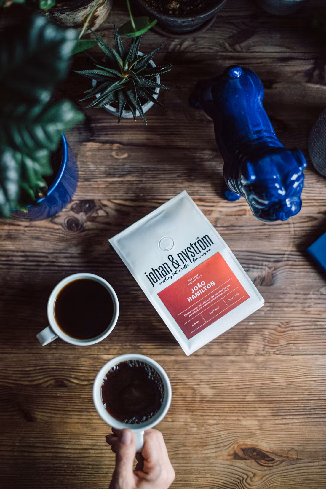 Johan & Nyström João Hamilton, Whole Beans - 250 grams