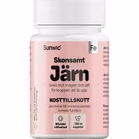 Sunwic Iron Capsules - 100 Capsules