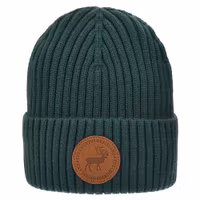 Robin Ruth Stamp Winter Hat - Finland, Green