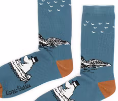Nordic Buddies Moominpappa Boating Men Socks,  Petrol blue/Brown