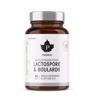 Pureness Lactic Acid Bacteria | Lactospore + Boulardii - 60 Capsules