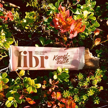 Fibr Kanelbulle, Cinnamon Bun Bar - 40 grams
