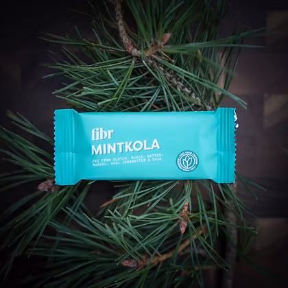 Fibr Mintkola, Mint Toffee Bar - 25 grams