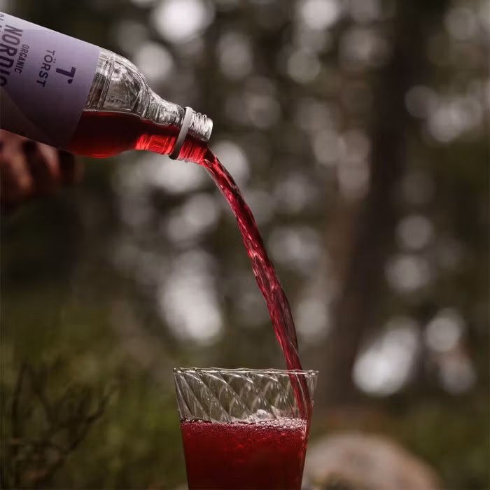 TÖRST Organic Nordic Blueberry - 330ml