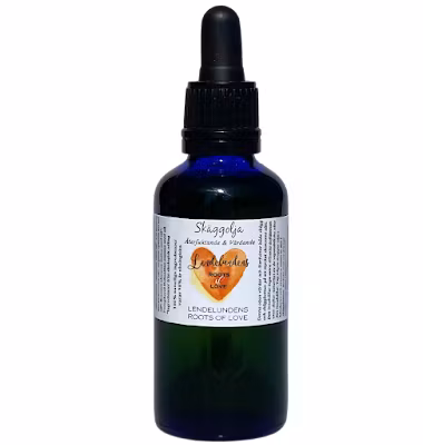 Lendelundens Beard oil Moisturize & Protect