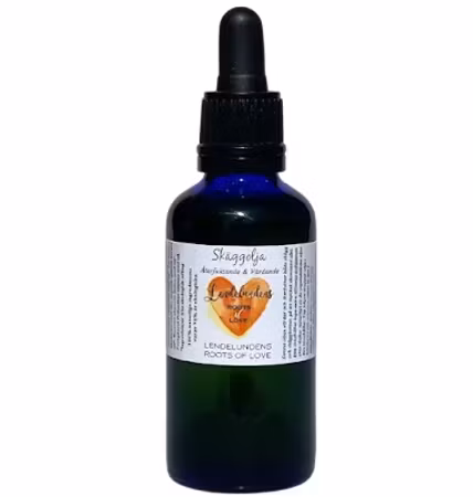 Lendelundens Sandalwood Beard Oil