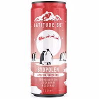Latitude 65 Sydpolen Orange/Ingwer – 330 ml