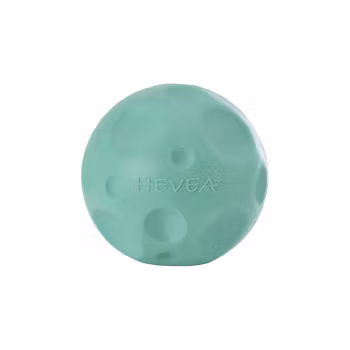 Aktiveringsleksak för hund i naturgummi Moon ball - Pale mint