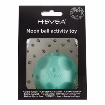 Aktiveringsleksak för hund i naturgummi Moon ball - Pale mint