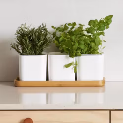 Set med självbevattningskrukor